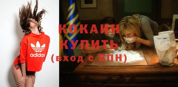сатива Липки