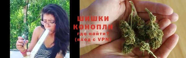 сатива Липки