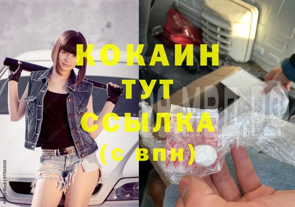 сатива Липки
