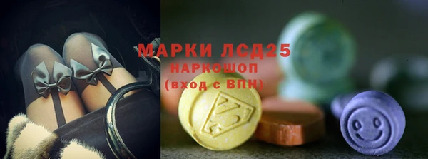 сатива Липки