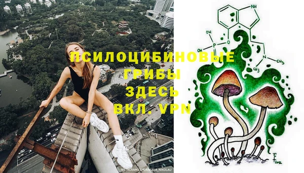 сатива Липки