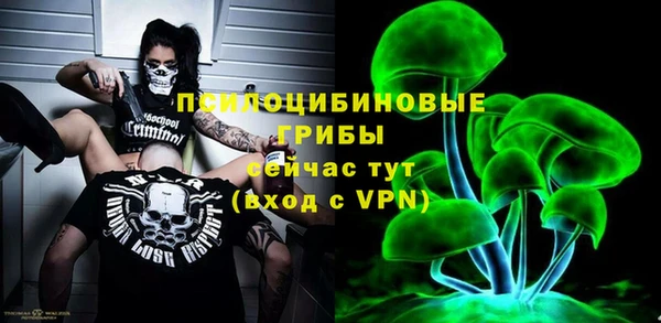 сатива Липки