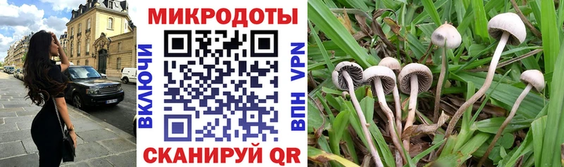 Галлюциногенные грибы ЛСД  Темников 